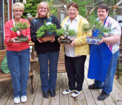 Potted Bonsai Tree Workshop